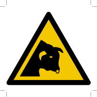 Warning; Bull