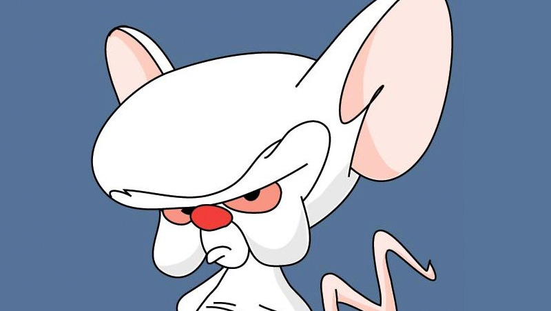 Where the voice for Brain from Pinky and the Brain came from - Trivia Happy
